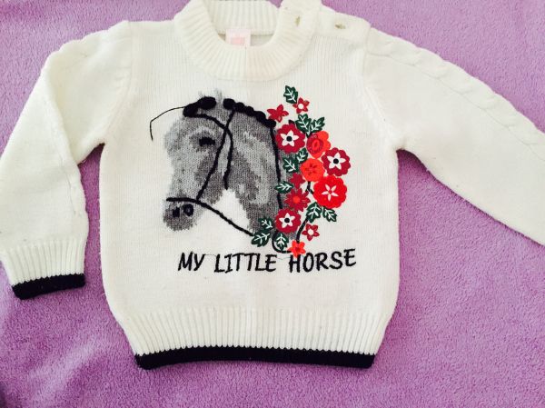Blusa de lã importada winkies Baby Tam 1